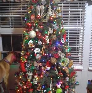 Meet your Posher, Cathy